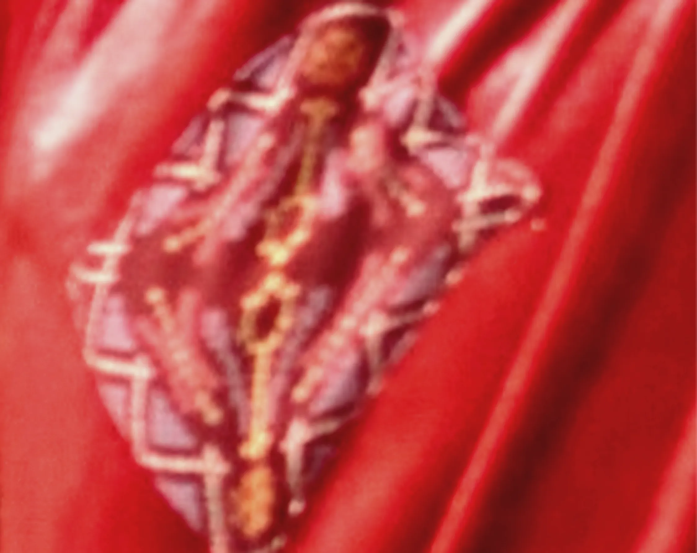 Нижняя часть